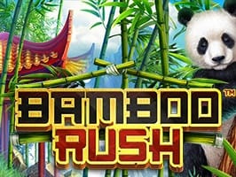 Bamboo Rush screenshot